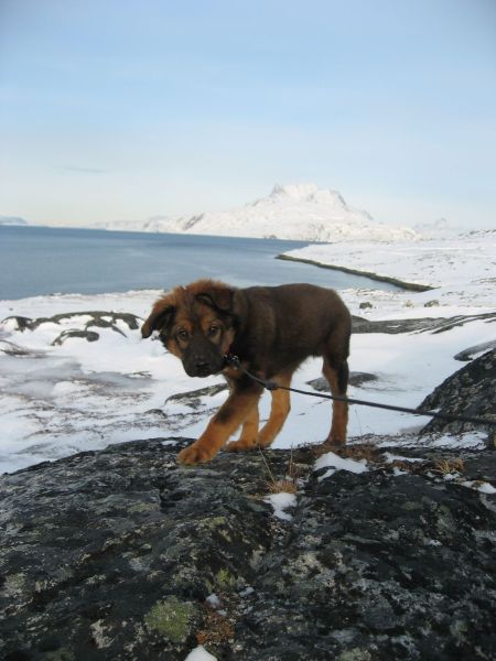 Djanco - ude og inde