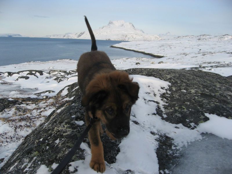 Djanco - ude og inde