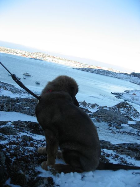 Djanco - ude og inde