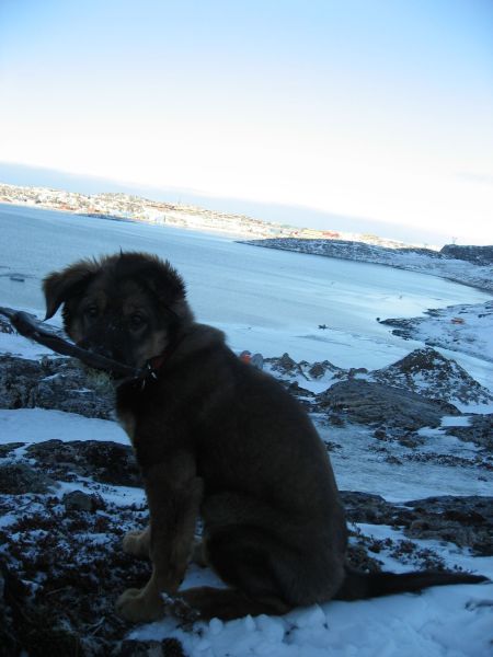 Djanco - ude og inde