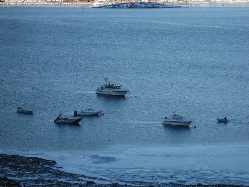 Billeder fra Qinnqorput