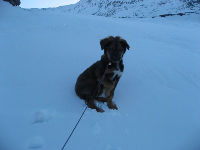 Djanco - ude og inde