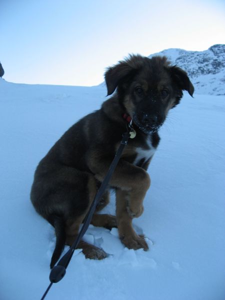 Djanco - ude og inde