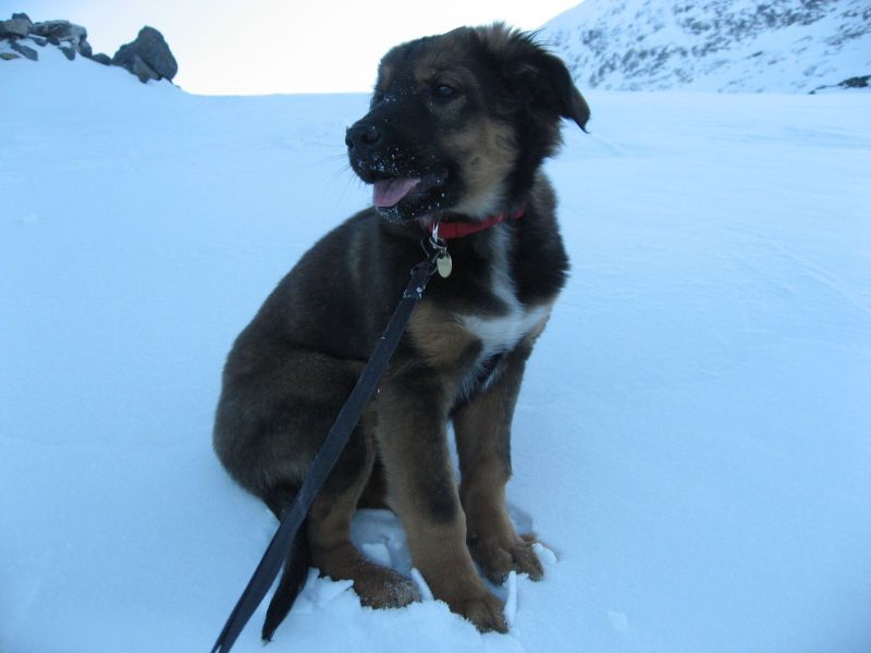 Djanco - ude og inde