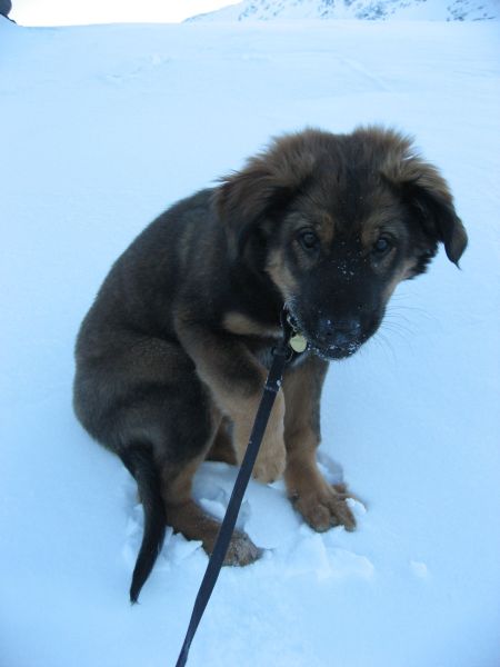 Djanco - ude og inde