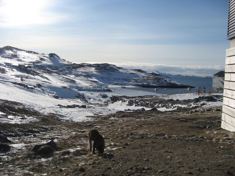 Djanco - ude og inde