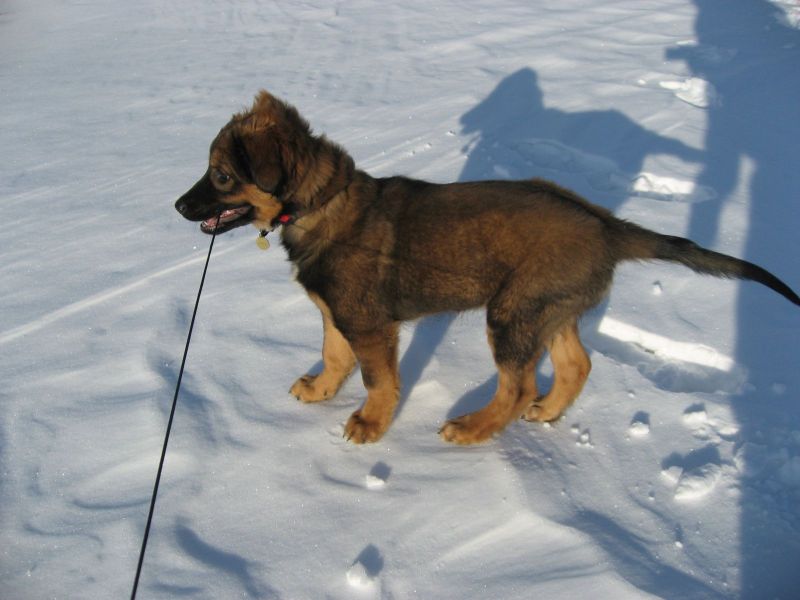 Djanco - ude og inde