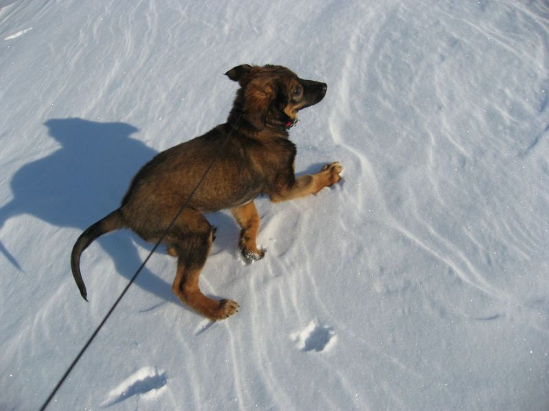 Djanco - ude og inde