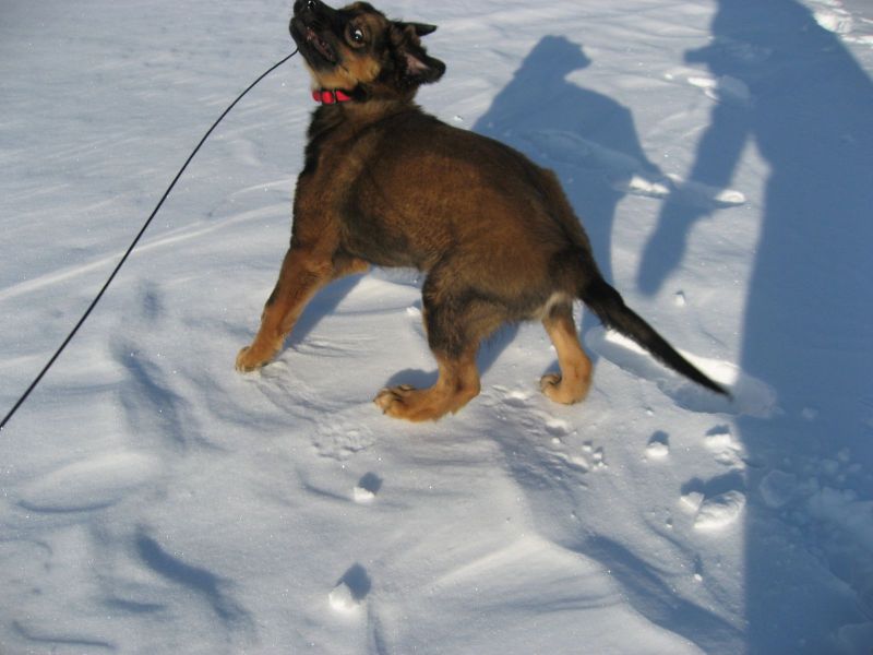 Djanco - ude og inde