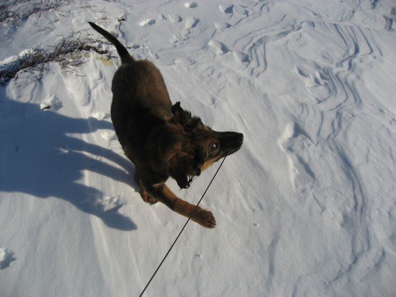 Djanco - ude og inde