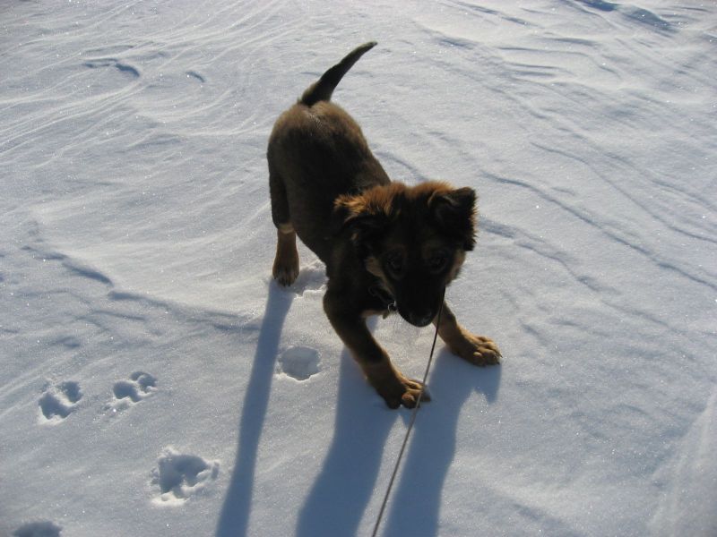 Djanco - ude og inde