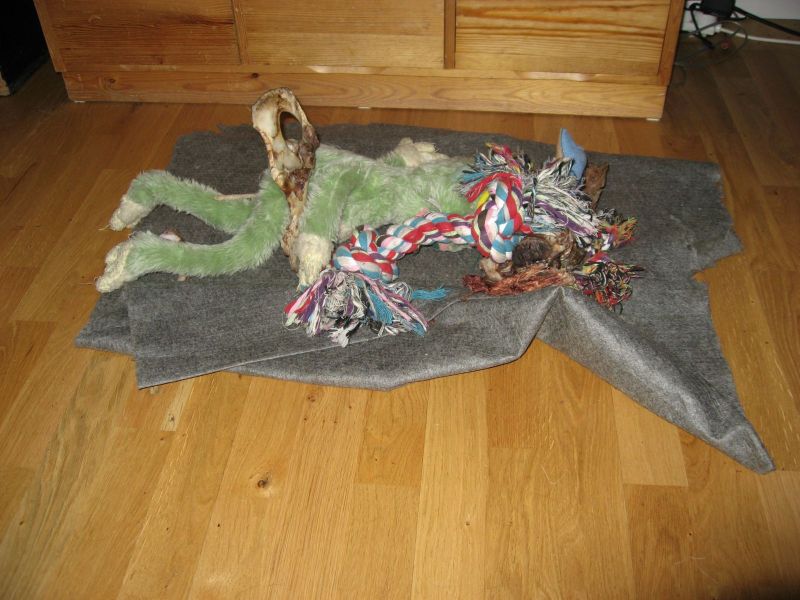 Billeder fra Qinnqorput