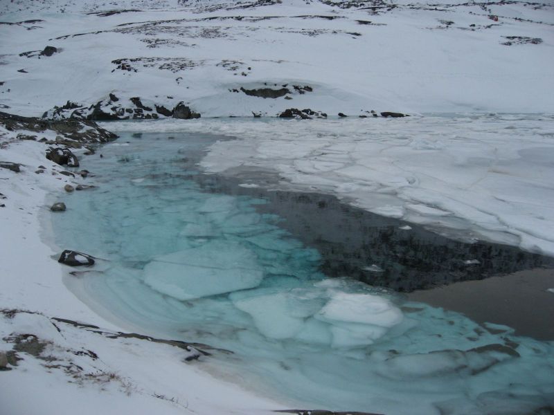 Billeder fra Qinnqorput