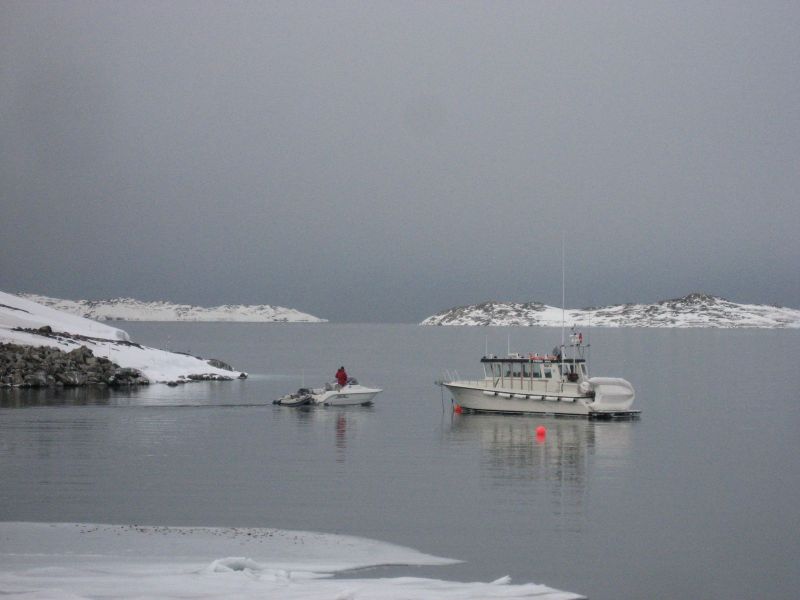 Billeder fra Qinnqorput