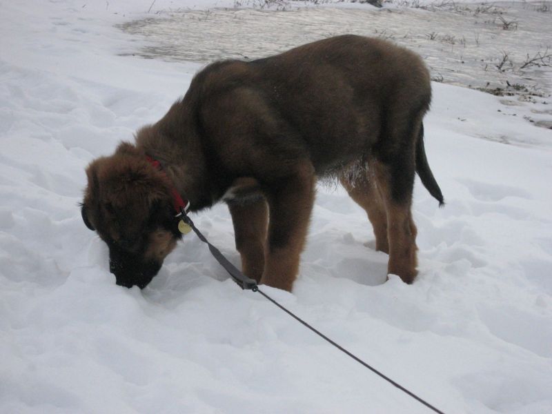 Djanco - ude og inde