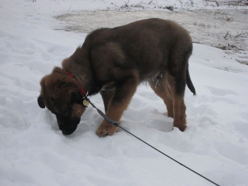 Djanco - ude og inde