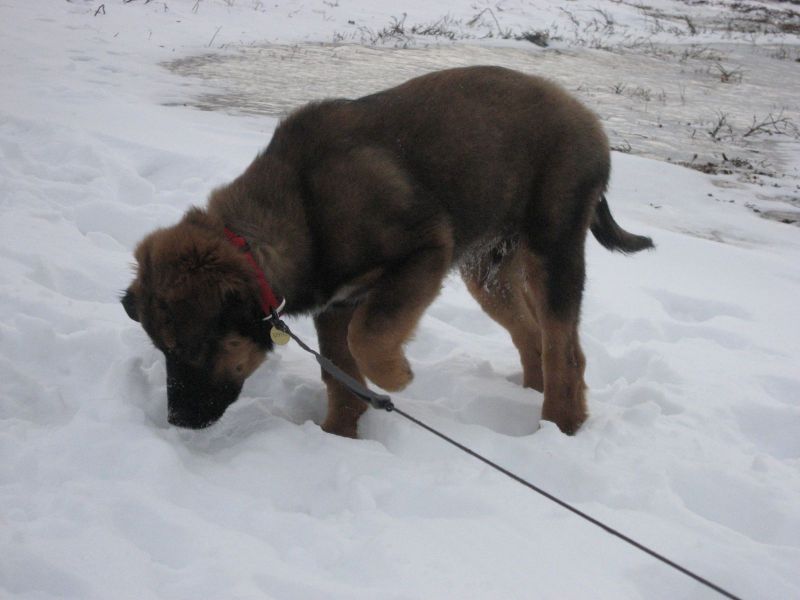 Djanco - ude og inde