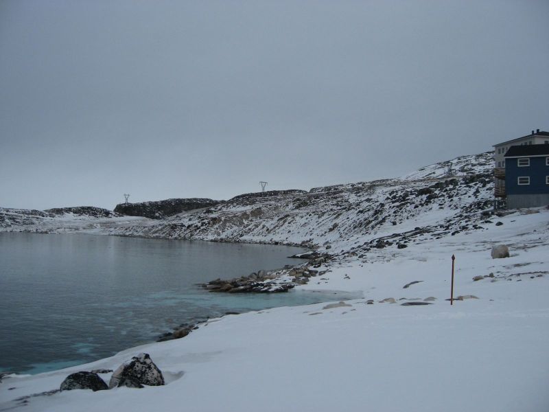 Billeder fra Qinnqorput