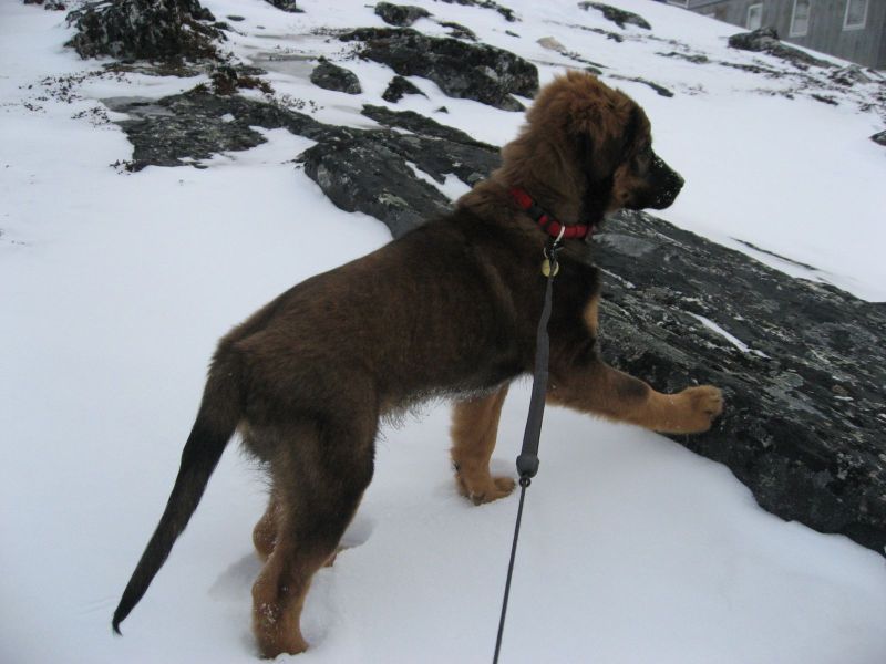 Djanco - ude og inde