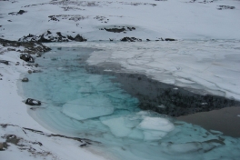 Billeder fra Qinnqorput