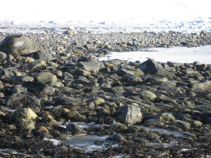 Billeder fra Nuuk
