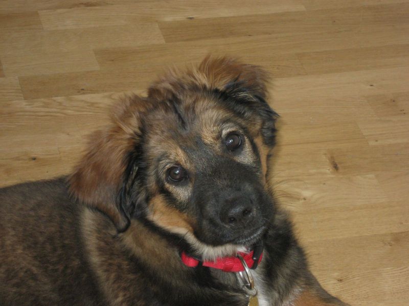 Djanco - ude og inde