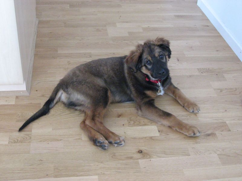 Djanco - ude og inde