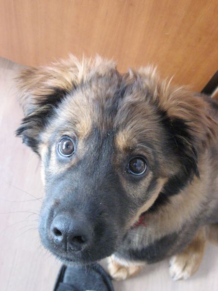 Djanco - ude og inde