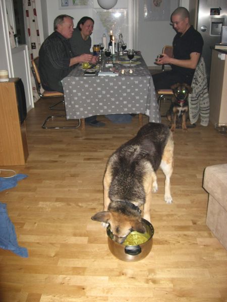 Djanco - ude og inde