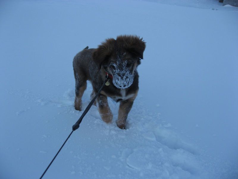 Djanco - ude og inde