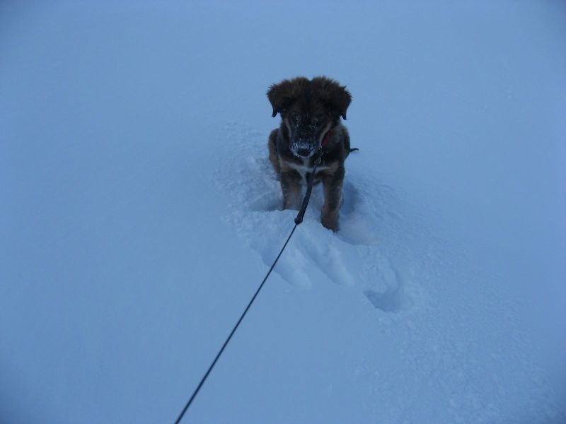 Djanco - ude og inde