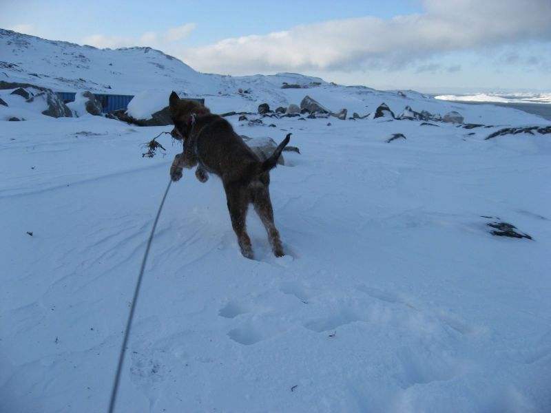 Djanco - ude og inde