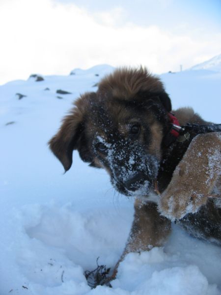 Djanco - ude og inde