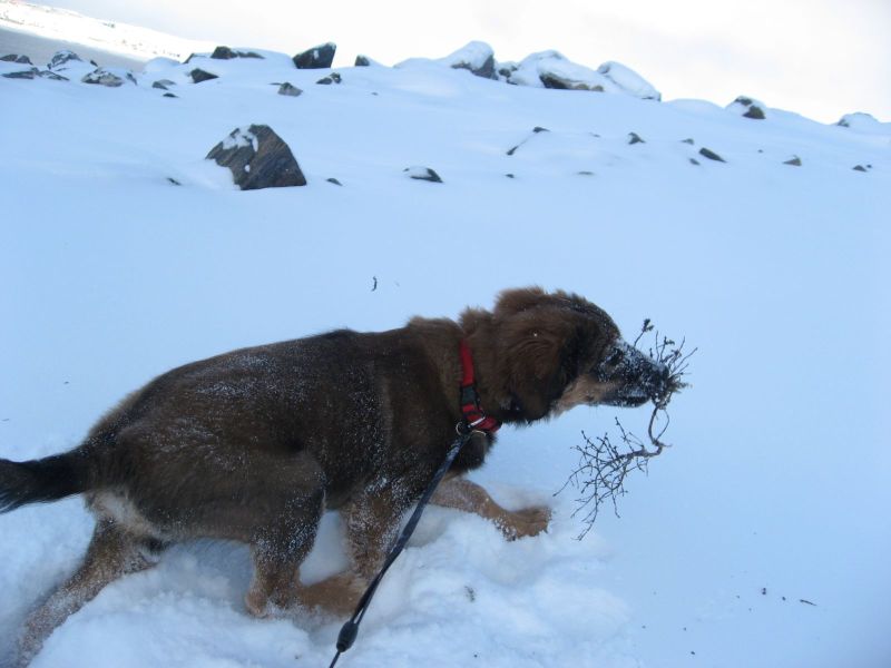 Djanco - ude og inde