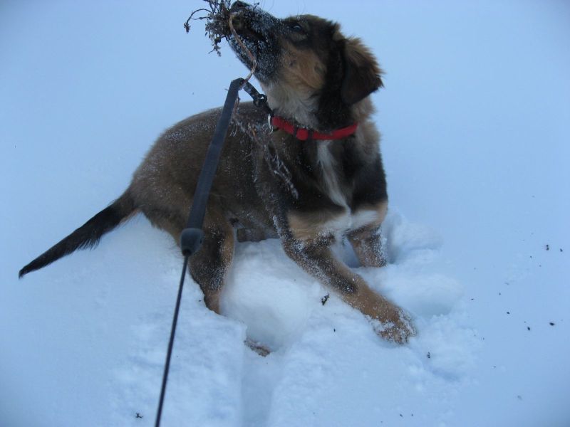 Djanco - ude og inde