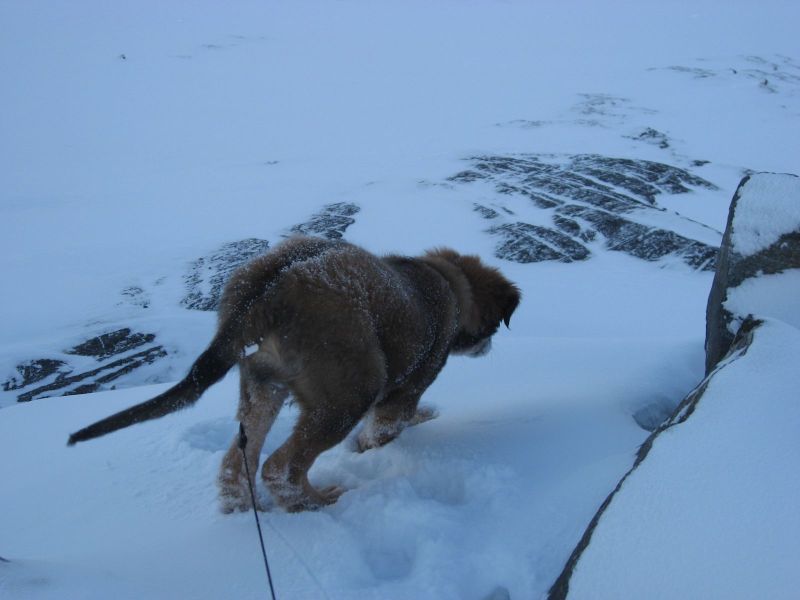 Djanco - ude og inde