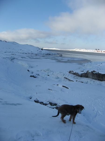 Djanco - ude og inde