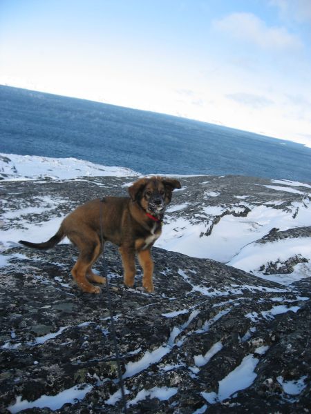 Djanco - ude og inde