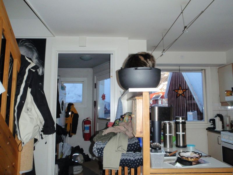 Billeder fra Nuuk