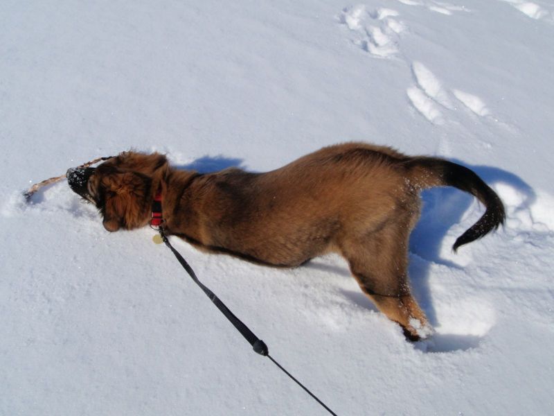 Djanco - ude og inde