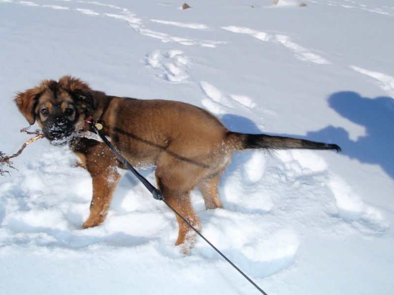 Djanco - ude og inde