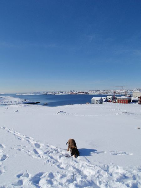 Djanco - ude og inde