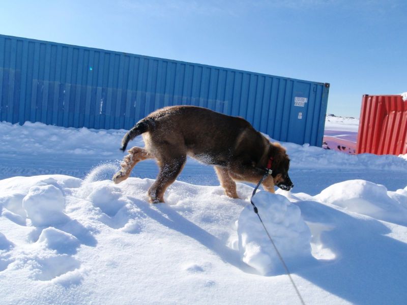 Djanco - ude og inde