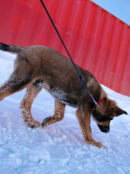 Djanco - ude og inde