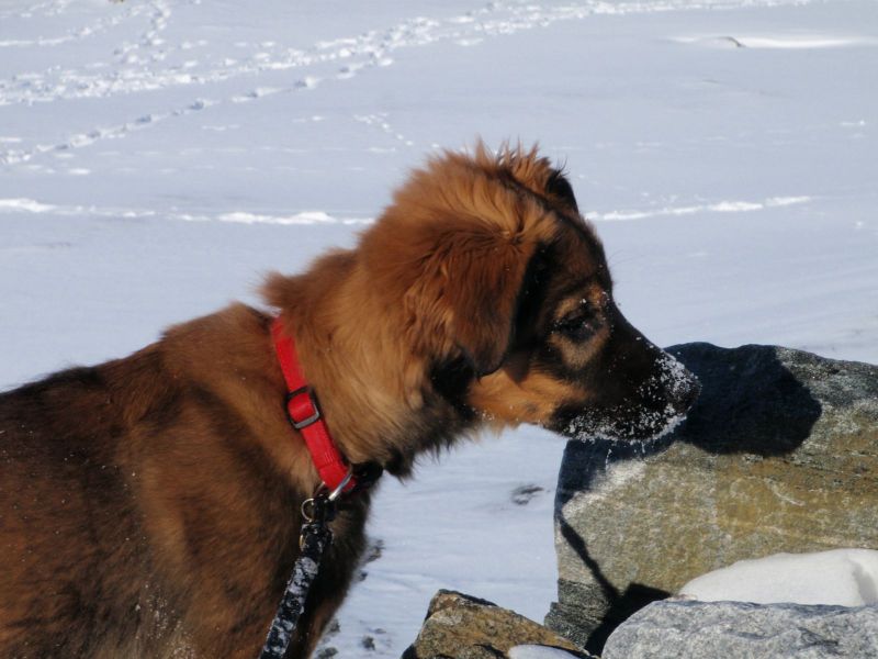 Djanco - ude og inde