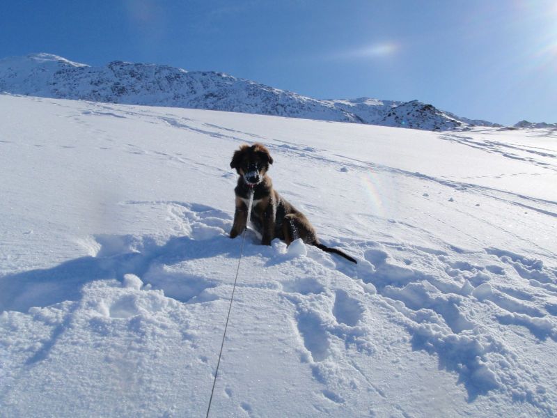 Djanco - ude og inde