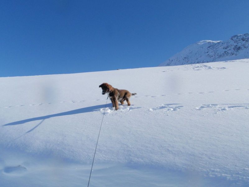 Djanco - ude og inde