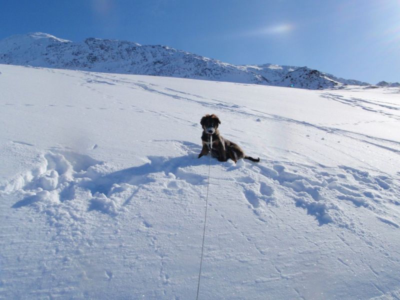 Djanco - ude og inde