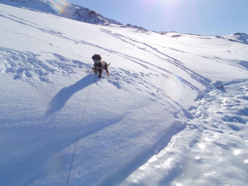 Djanco - ude og inde