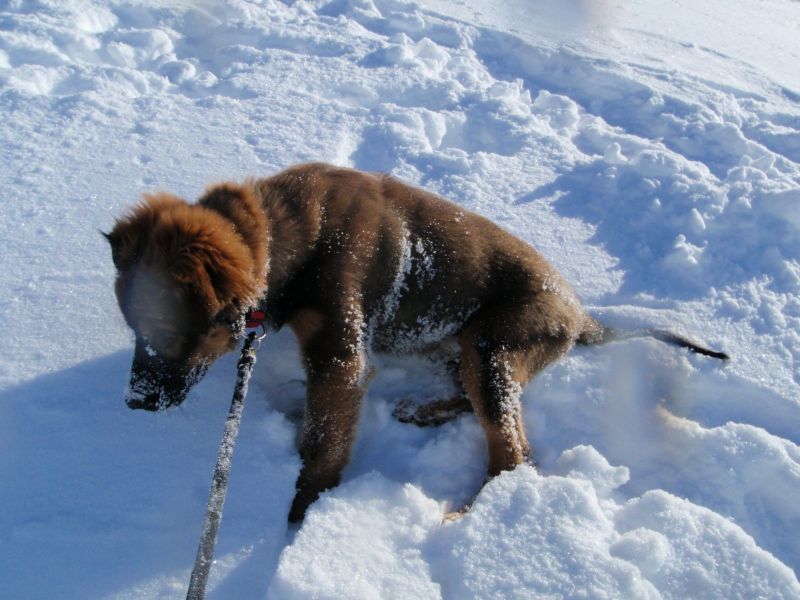 Djanco - ude og inde